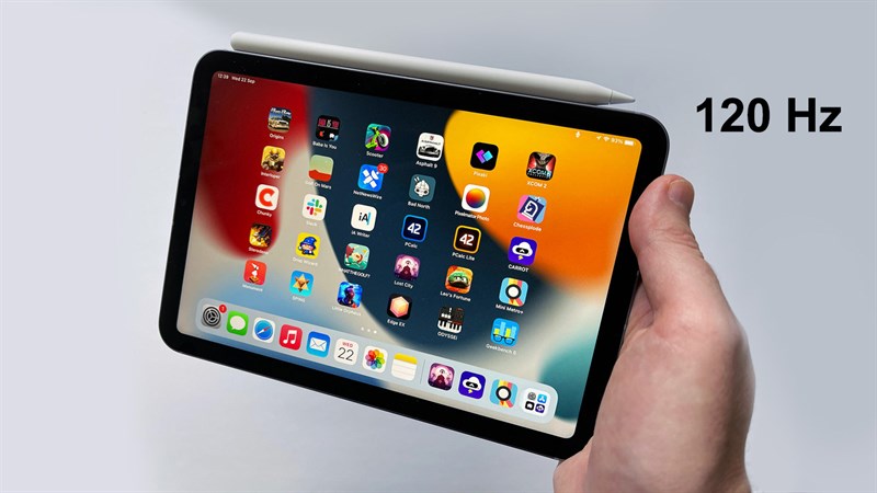 iPad mini 7 được cho sẽ trang bị màn hình Pro Motion 120Hz