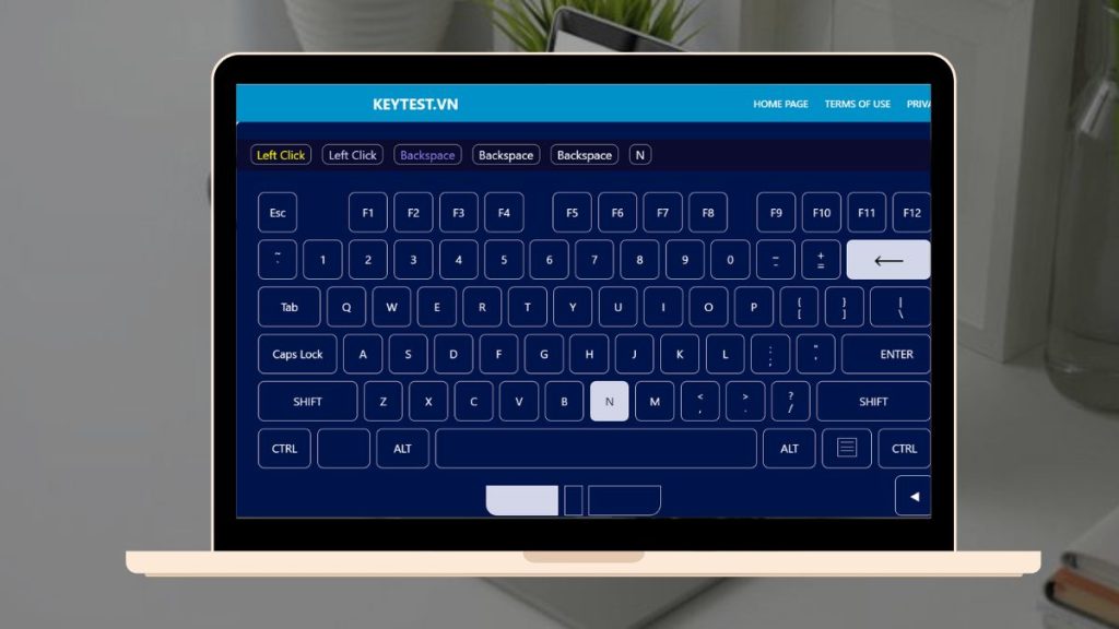 Top 8 trang web Keyboard tester online nên sử dụng hiện nay