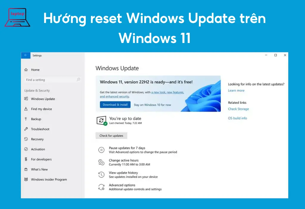 Hướng reset Windows Update trên Windows 11